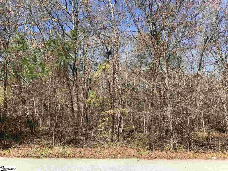 Property image 2 at 0 S Artillery Court, Piedmont, SC 29673