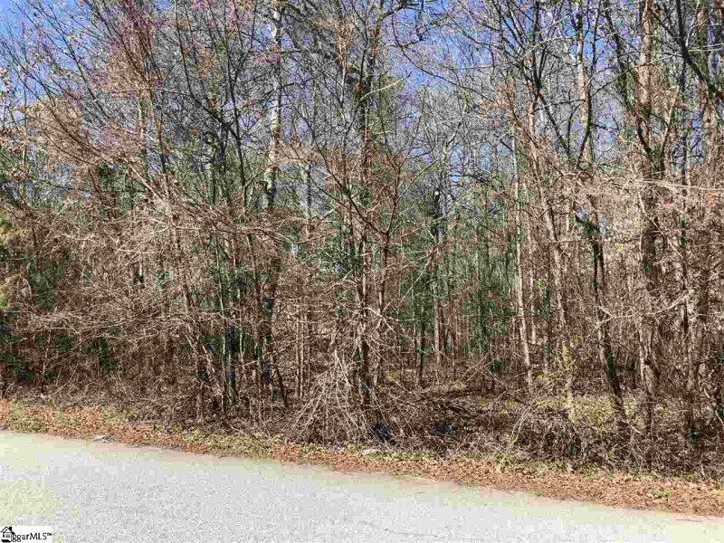 Property image 3 at 0 S Artillery Court, Piedmont, SC 29673