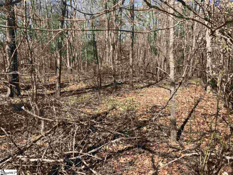 Property image 4 at 0 S Artillery Court, Piedmont, SC 29673