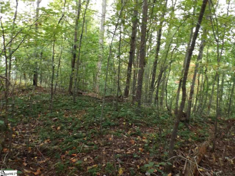 Property image 3 at 237 Broken Bow Run, Pickens, SC 29671