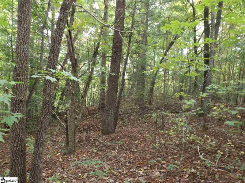 Property image 4 at 237 Broken Bow Run, Pickens, SC 29671