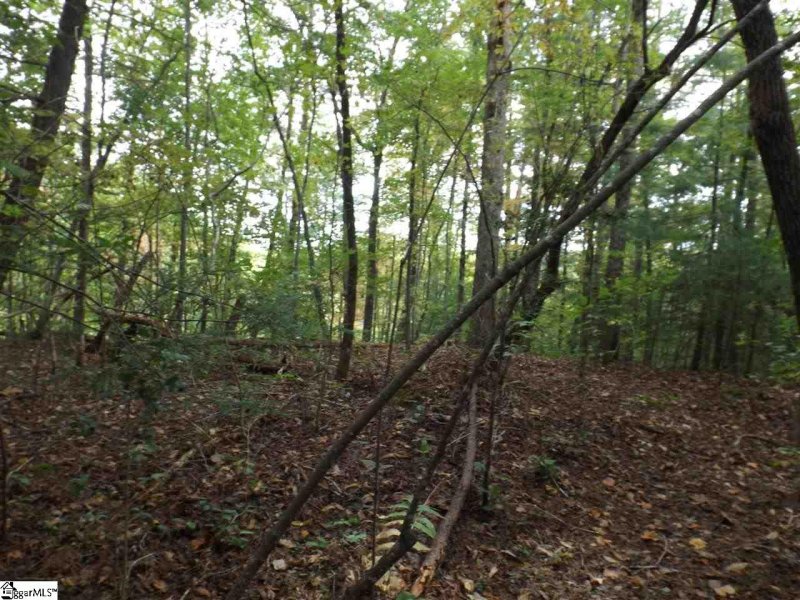 Property image 5 at 237 Broken Bow Run, Pickens, SC 29671