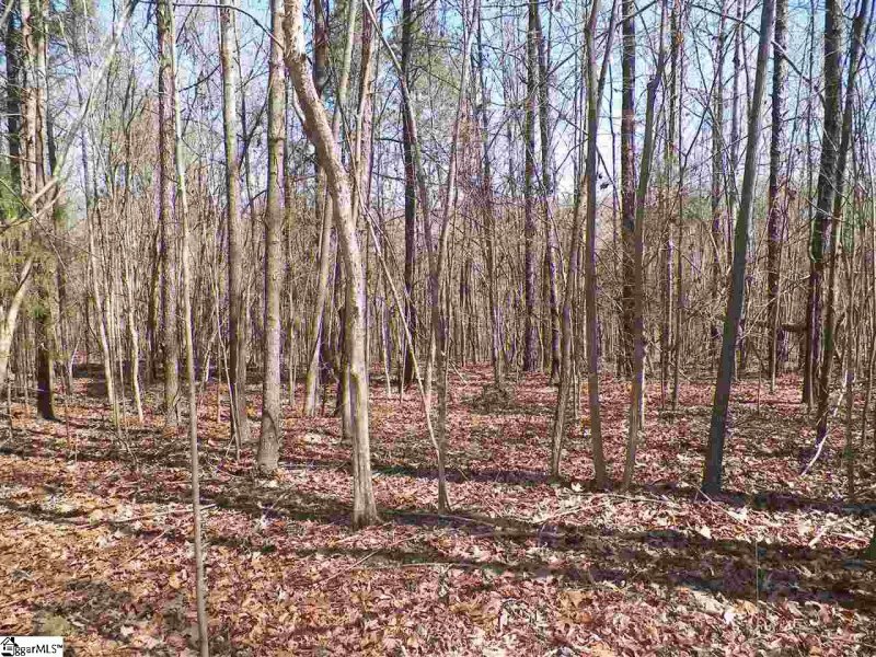 Property image 2 at 192 Viewpoint Court, Laurens, SC 29360