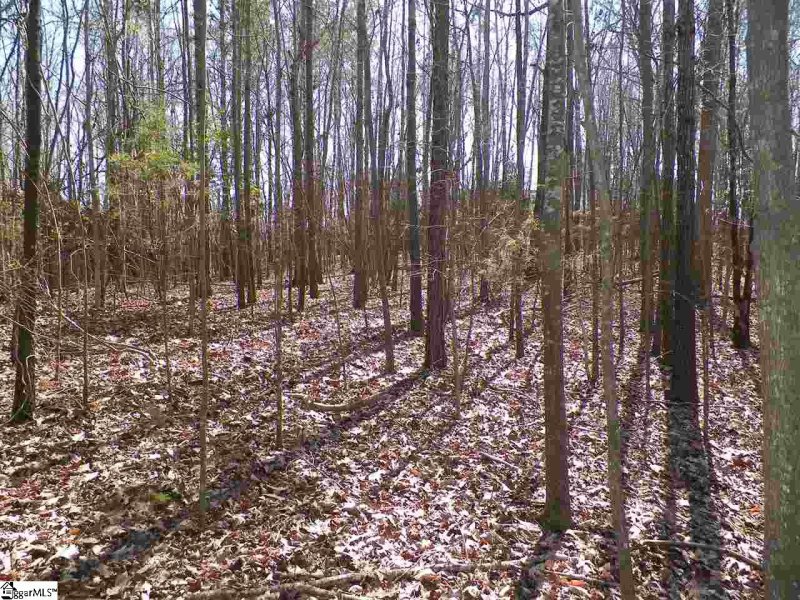 Property image 3 at 192 Viewpoint Court, Laurens, SC 29360