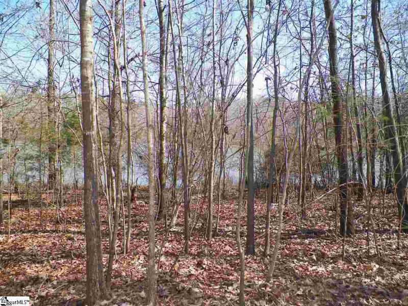 Property image 5 at 192 Viewpoint Court, Laurens, SC 29360