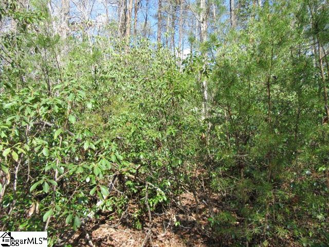 Property image 3 at 107 Woodmere Court, Pickens, SC 29671