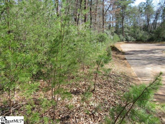 Property image 5 at 107 Woodmere Court, Pickens, SC 29671