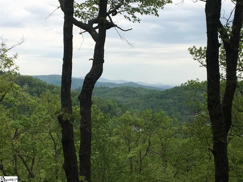 Property image 2 at Spruce Lane, Zirconia, NC 28790