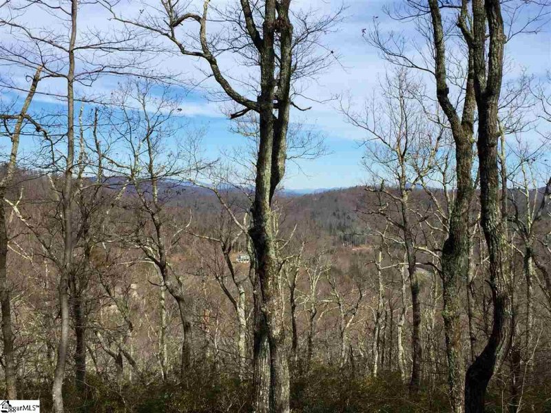 Property image 3 at Spruce Lane, Zirconia, NC 28790