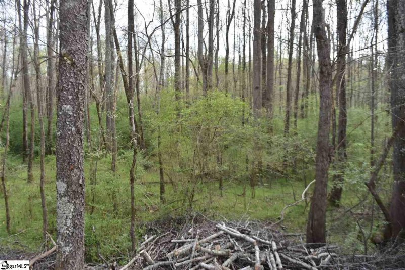 Property image 3 at 121 Kingswood Circle, Simpsonville, SC 29681
