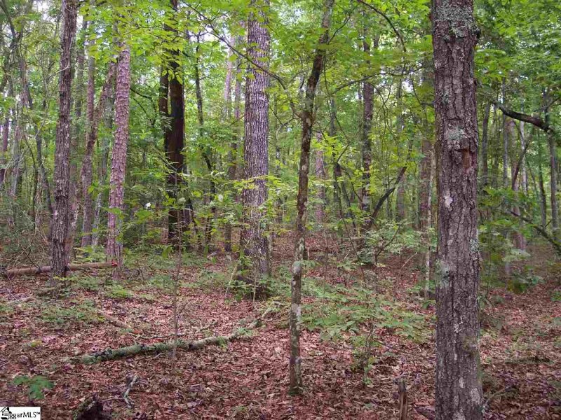 Property image 4 at 00 Shepherd Springs Drive, Cleveland, SC 29635