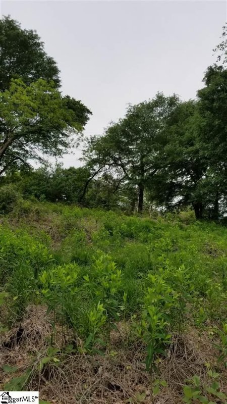 Property image 4 at 00 Coburn Drive, Spartanburg, SC 29302