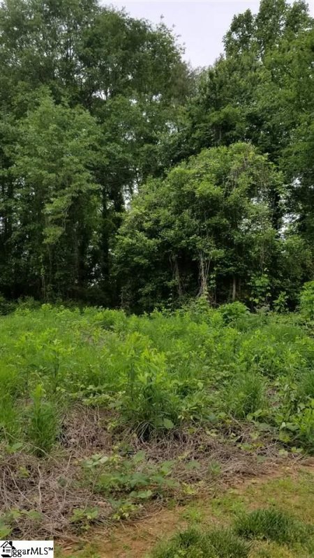 Property image 5 at 00 Coburn Drive, Spartanburg, SC 29302