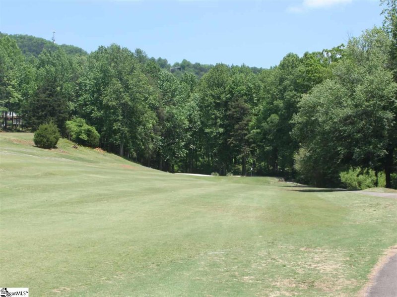 Property image 2 at 659 Forest Haven Court, Greenville, SC 20613