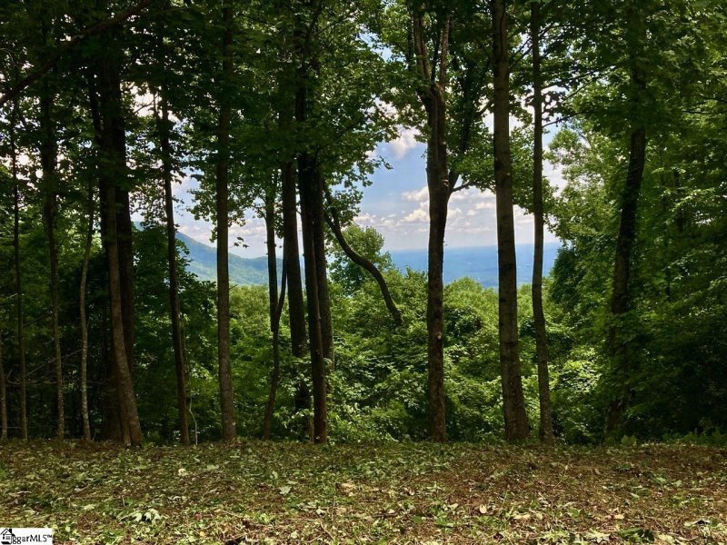 Property image 3 of 100 Deep Haven Lane in The Cliffs at Glassy, Landrum, SC 29356