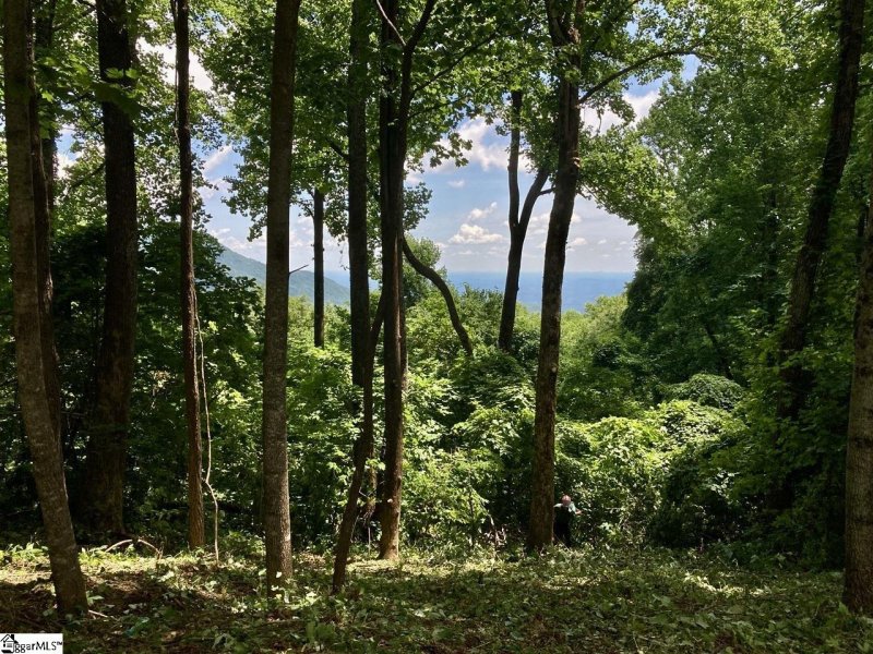 Property image 5 of 100 Deep Haven Lane in The Cliffs at Glassy, Landrum, SC 29356