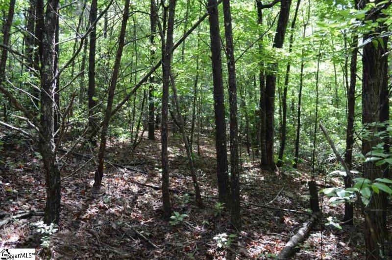 Property image 4 at Bumsa Place, Pickens, SC 29671