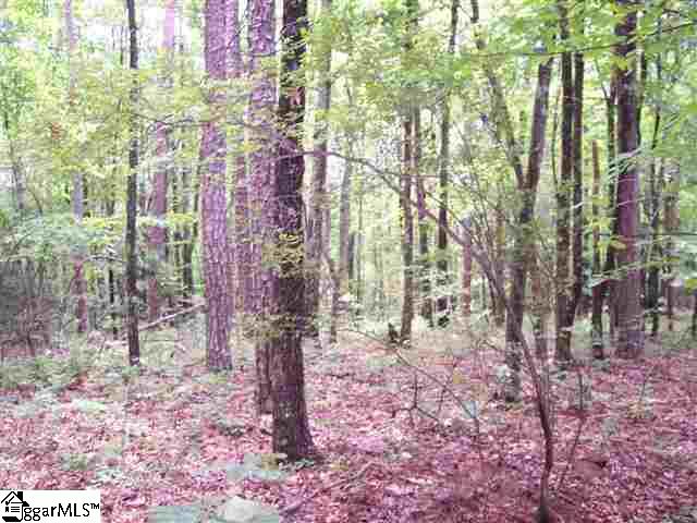 Property image 4 at Shepherd Springs, Cleveland, SC 29635