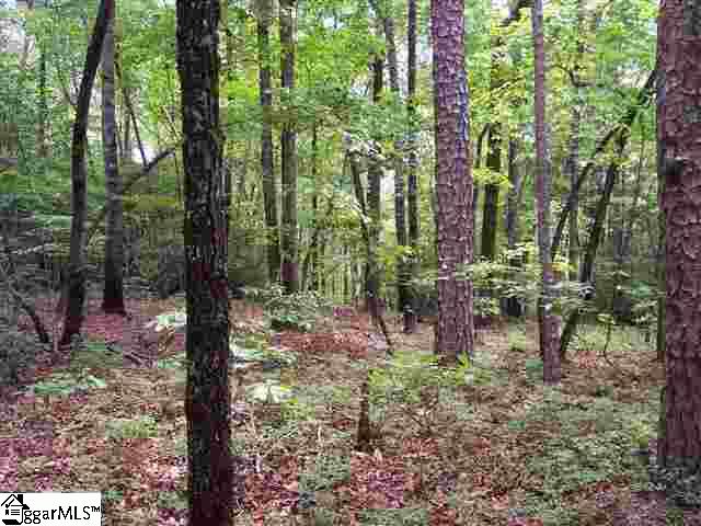 Property image 5 at Curts Way, Cleveland, SC 29635