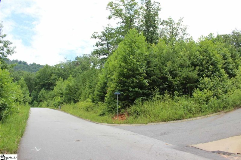 Property image 2 at 5 Glens Choice Court, Greenville, SC 29609
