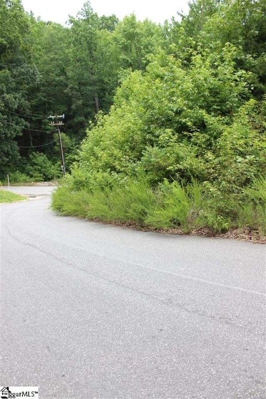 Property image 3 at 5 Glens Choice Court, Greenville, SC 29609