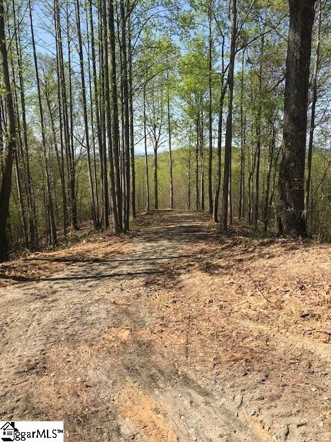 Property image 4 of 181 Crowne Hill Way in The Cliffs at Mountain Park, Marietta, SC 29661