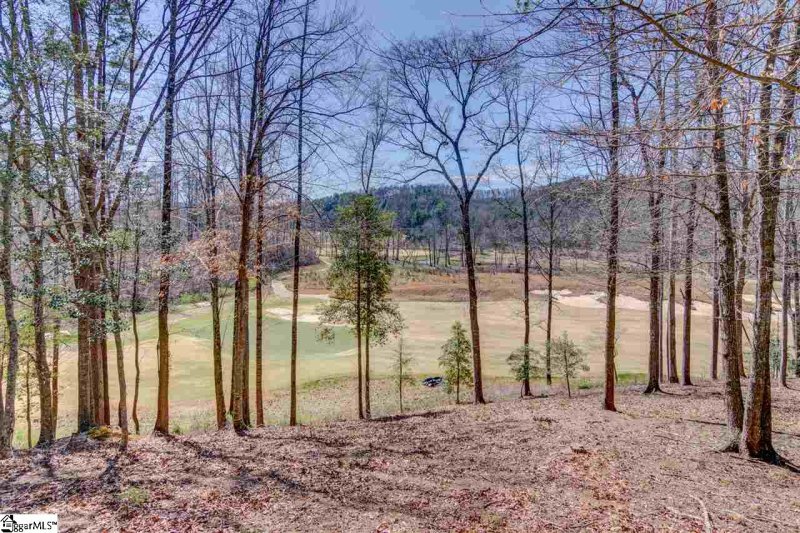Property image 3 at 55 Fancourt Way, Travelers Rest, SC 29690