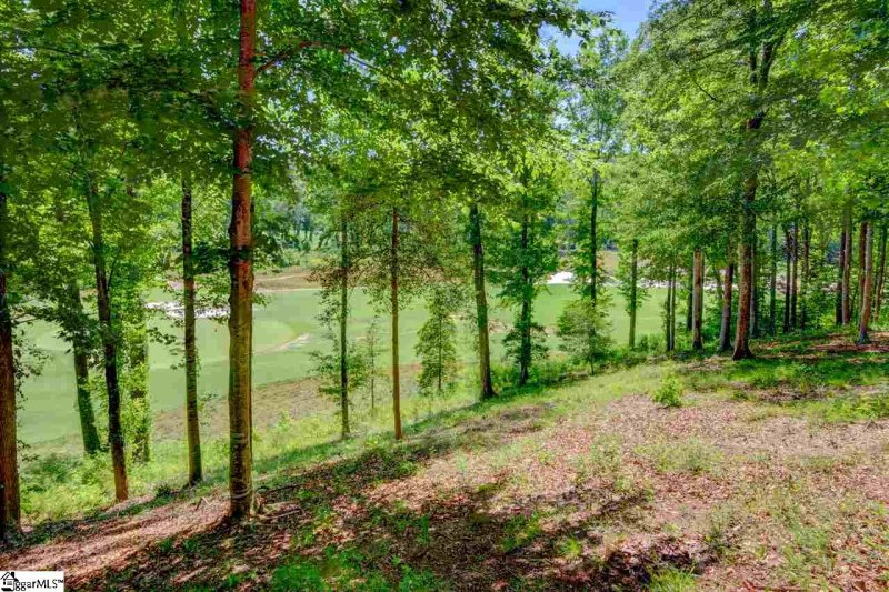 Property image 5 at 55 Fancourt Way, Travelers Rest, SC 29690