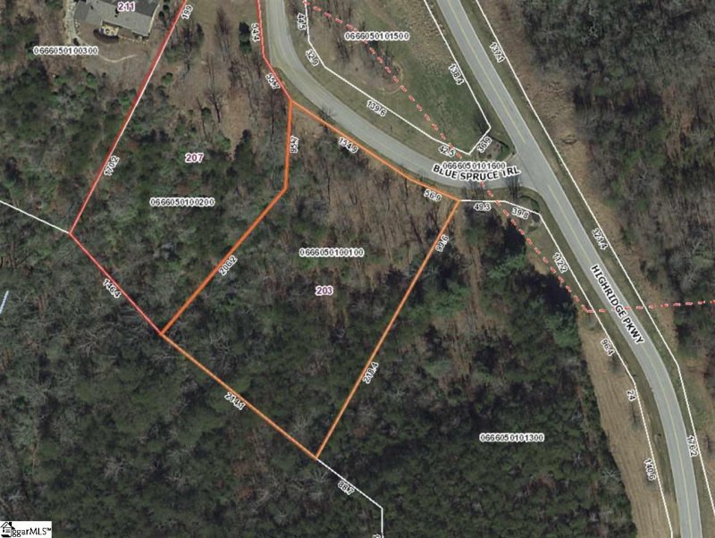 Property image 4 at 203 Blue Spruce Trail, Marietta, SC 29661