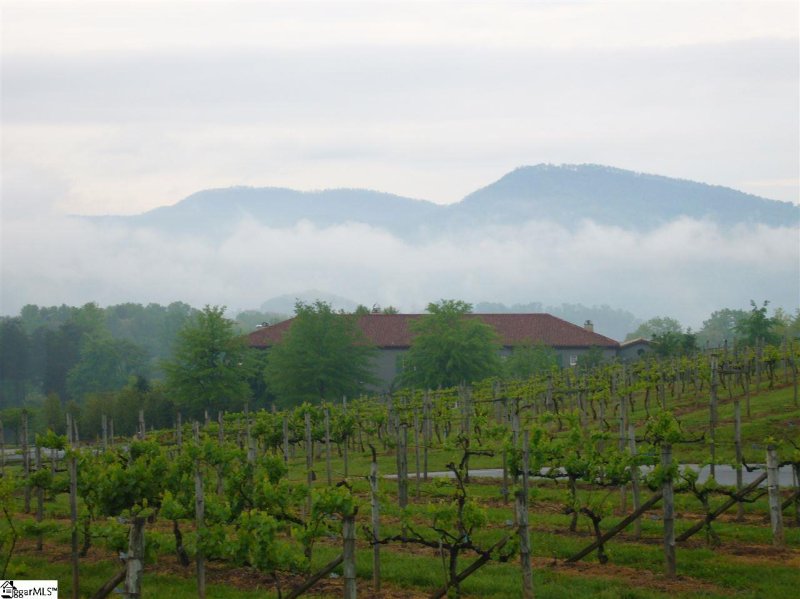 Property image 2 at 109 Cabernet Way, Travelers Rest, SC 29690