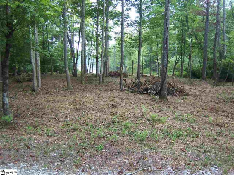 Property image 3 at 000 Big Oak Trail, Mountain Rest, SC 29664