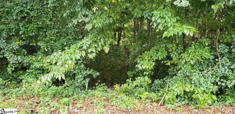 Property image 4 at 220 Joes Court, Easley, SC 29642