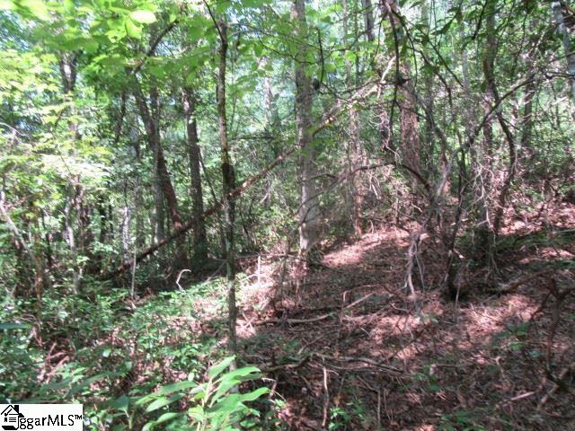 Property image 3 at 121 Woodmere Drive, Pickens, SC 29671