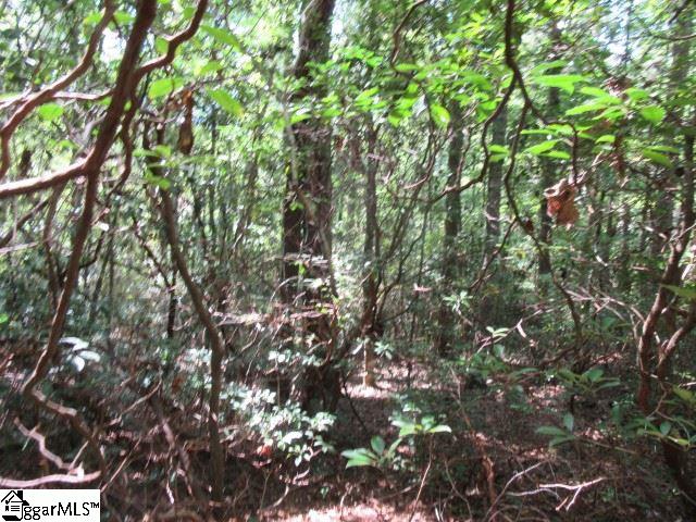 Property image 4 at 121 Woodmere Drive, Pickens, SC 29671