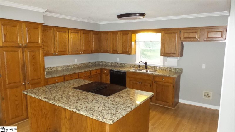 Property image 4 at 166 Chestnut Lake Drive, Inman, SC 29349