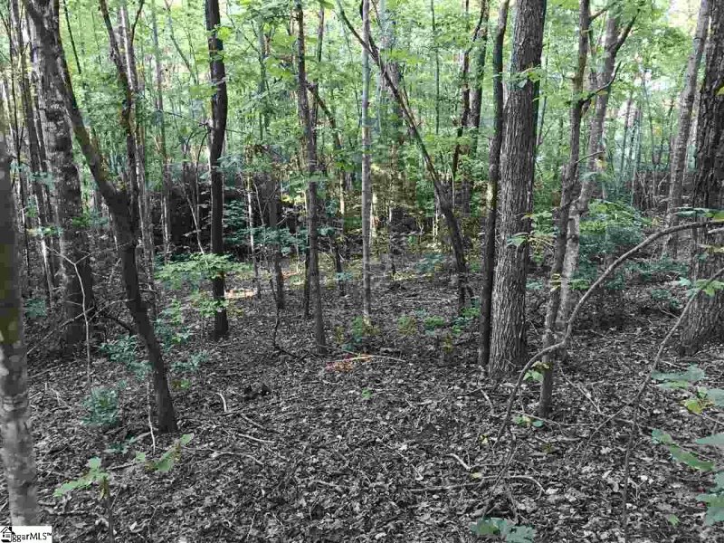 Property image 3 at 35 Terra Trace Way, Travelers Rest, SC 29690
