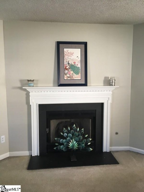 Property image 2 at 539 Candlewick Court, Moore, SC 29369