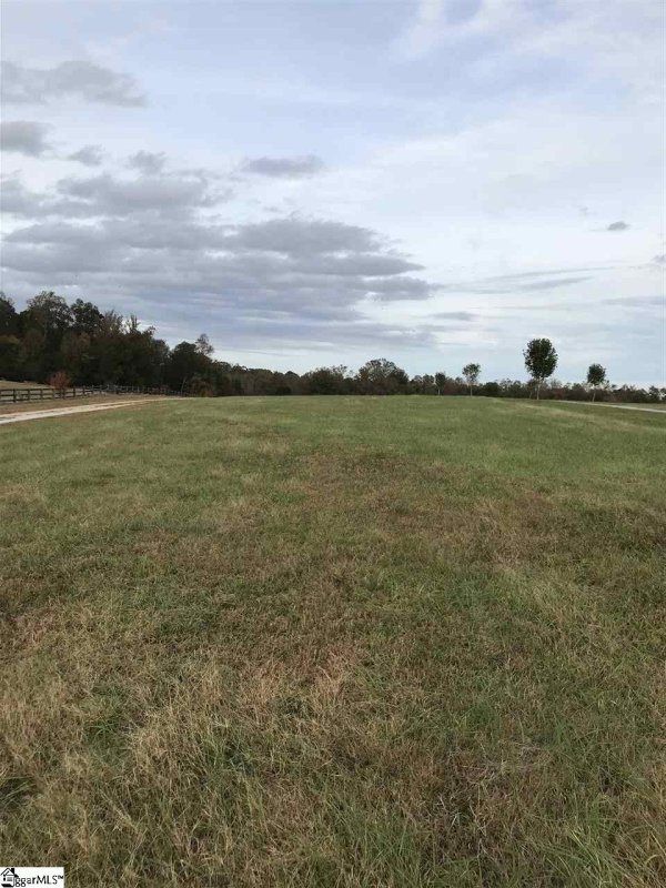 Property image 3 at 000 Century Court, Gray Court, SC 29645-3343