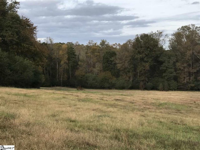 Property image 5 at 000 Century Court, Gray Court, SC 29645-3343