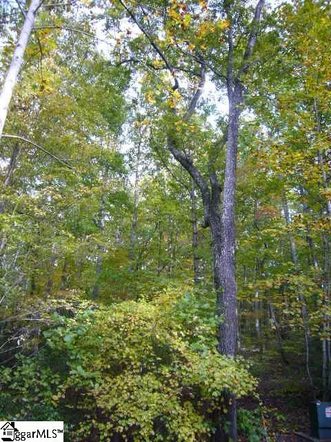 Property image 4 at 23 Alsace Way, Travelers Rest, SC 29690