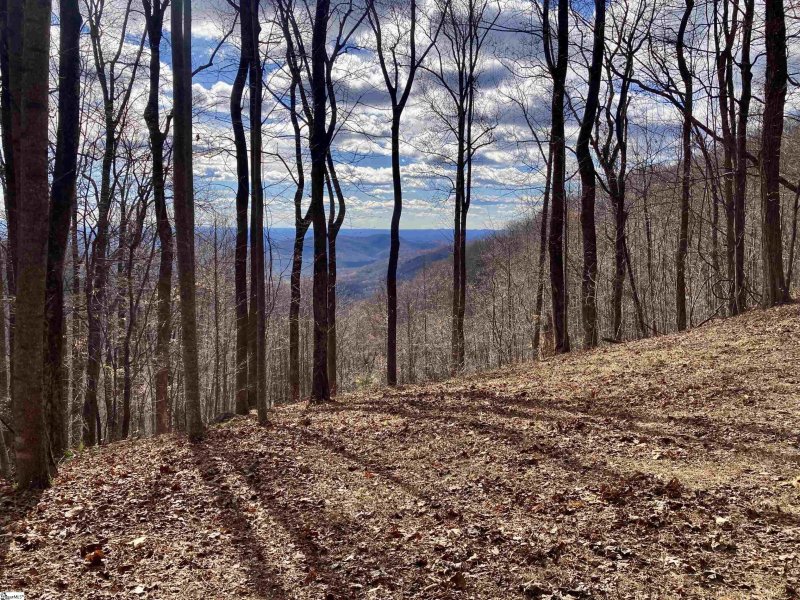 1347 Panther Park Trail