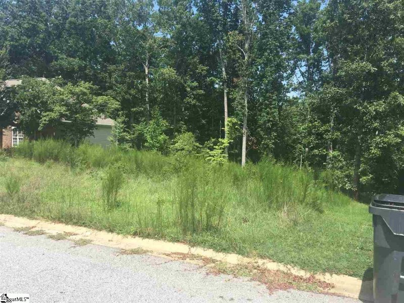 Property image 5 at 36 Carolina Oaks Drive, Fountain Inn, SC 29644