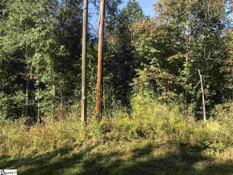 Property image 5 at South Davis Drive, Fair Play, SC 29643