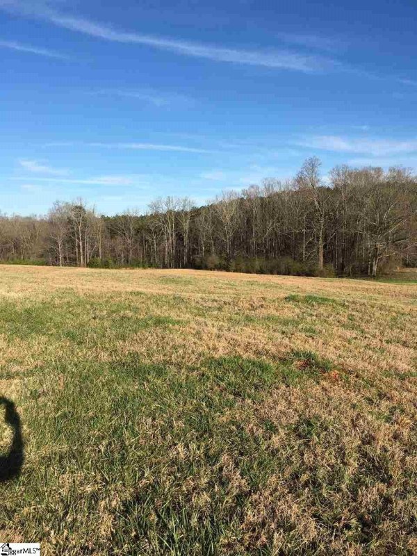 Property image 4 at 100 Century Court, Gray Court, SC 29644