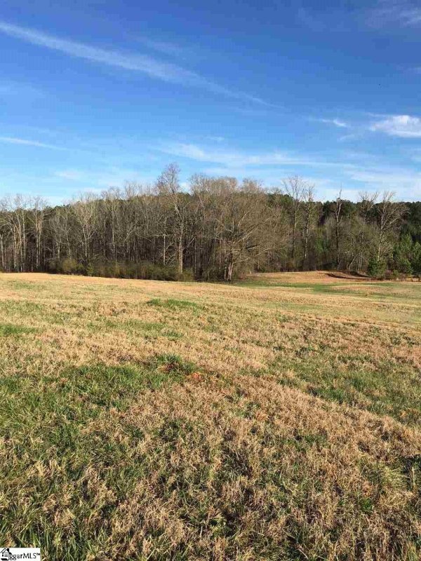 Property image 5 at 100 Century Court, Gray Court, SC 29644