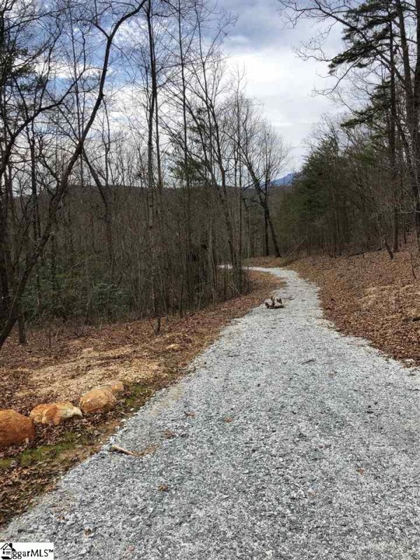 Property image 2 at 0 Copperline Drive, Cleveland, SC 29635