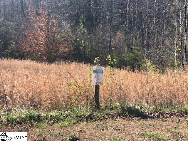 Property image 2 at 42 Setting Sun Lane, Travelers Rest, SC 29690