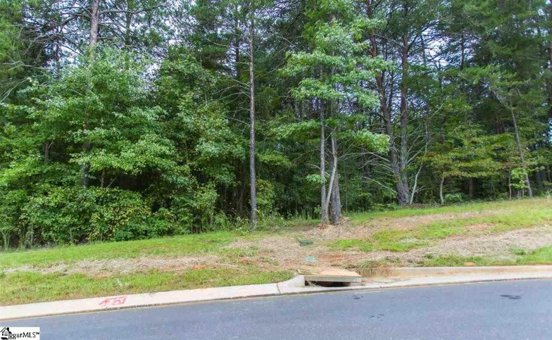 Property image 3 at 208 Bent Hook Way, Greer, SC 29651