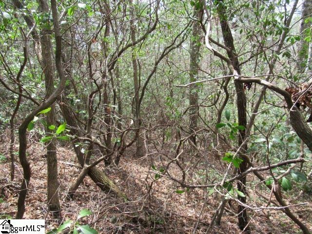 Property image 2 at 9 Mountain Ridge Estates Drive, Cleveland, SC 29635