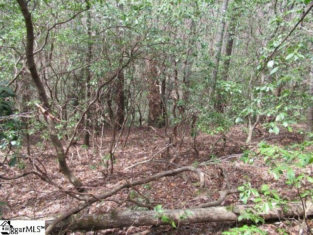 Property image 3 at 9 Mountain Ridge Estates Drive, Cleveland, SC 29635